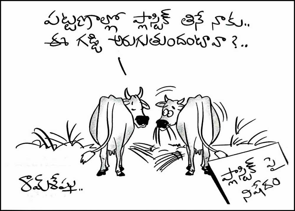 RamSeshu Cartoon